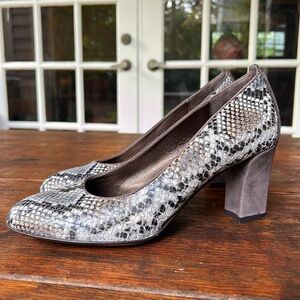 AGL Attilio Giusti Leombruni made in Italy gray snakeskin print leather pumps